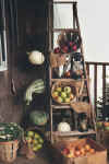 Fall 2004 Open House 4